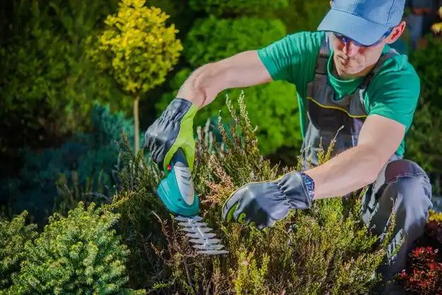 landscaping services Gerald
